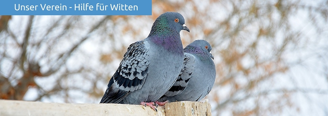 Unser Verein - Hilfe für Witten