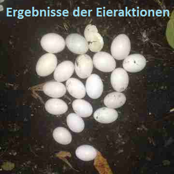 Eieraktionen August September 2017