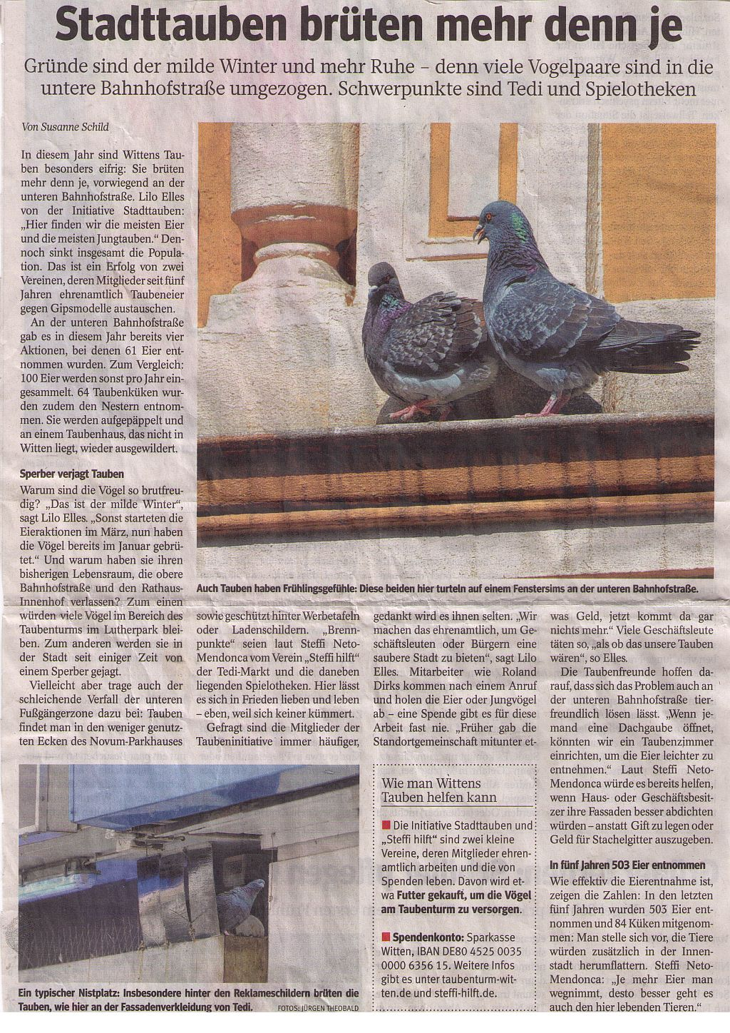 Stadttauben Witten Artikel WAZ 