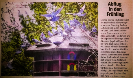 WAZ Artikel Taubenturm