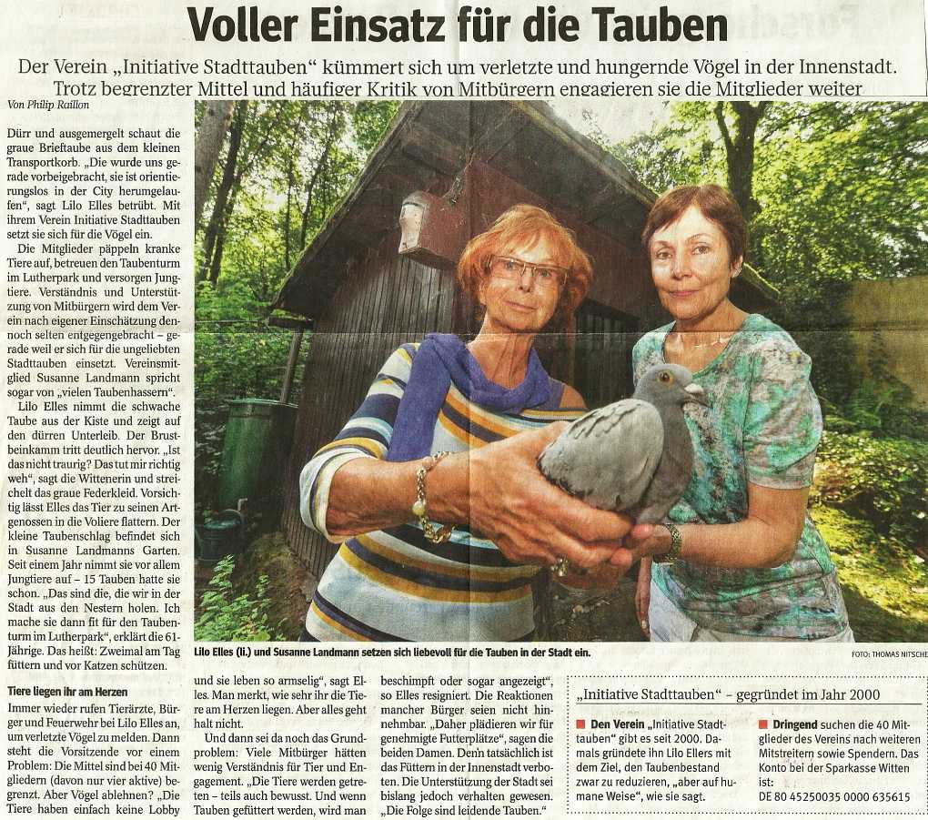 Zeitungsartikel WAZ August 2014