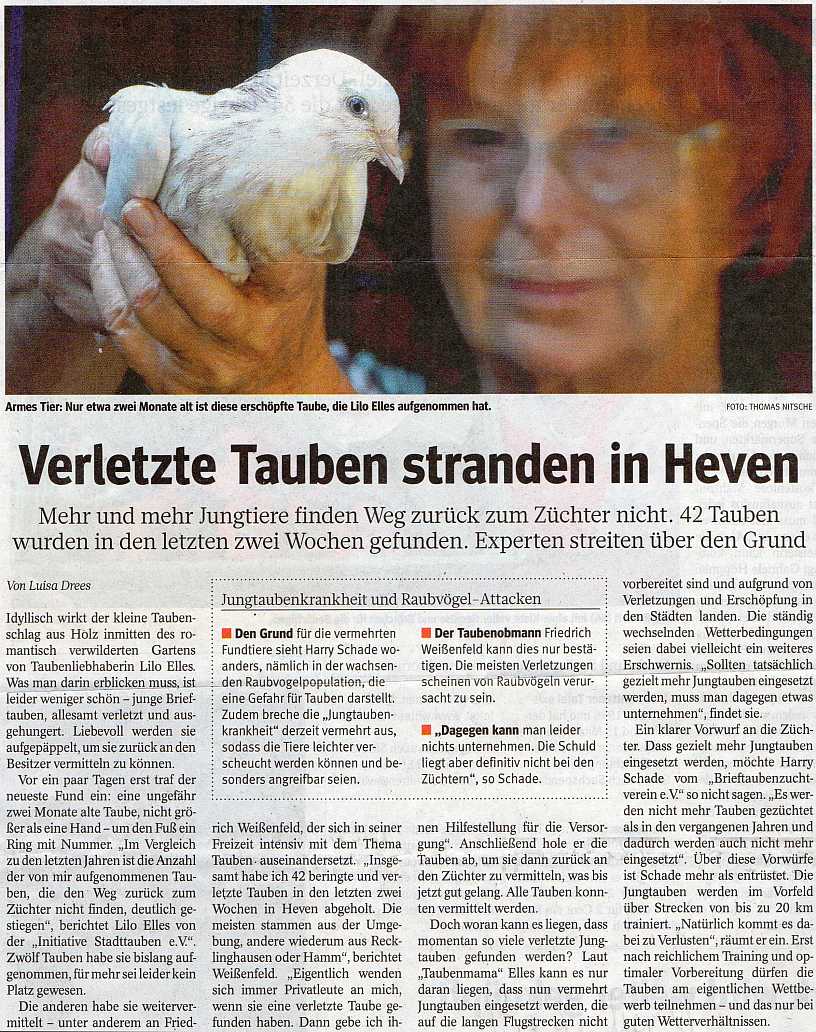 Zeitungsartikel WAZ August 2013
