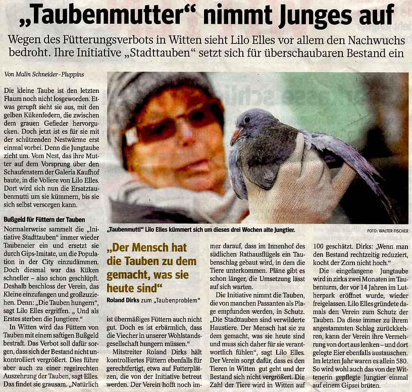 Zeitungsartikel Taubenmutter WAZ Februar 2014